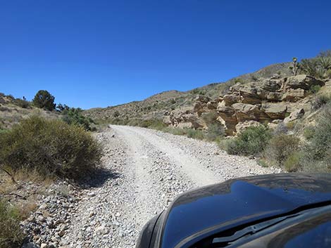 Cottonwood Valley Road