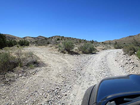 Cottonwood Valley Road