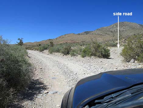 Cottonwood Valley Road