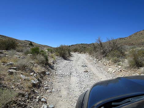 Cottonwood Valley Road