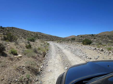 Cottonwood Valley Road