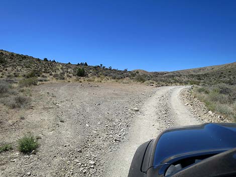 Cottonwood Valley Road