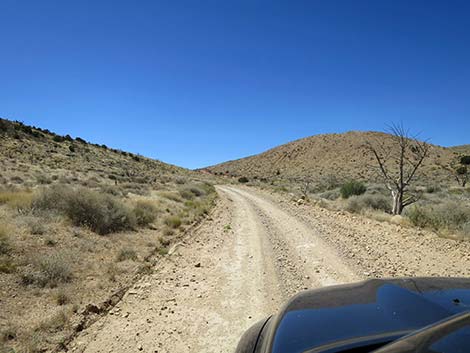 Cottonwood Valley Road