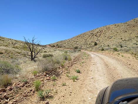 Cottonwood Valley Road