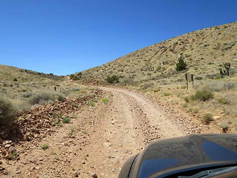 Cottonwood Valley Road