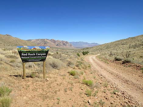 Cottonwood Valley Road