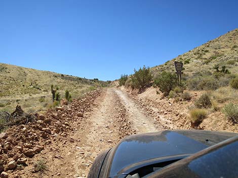 Cottonwood Valley Road