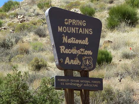 Cottonwood Valley Road