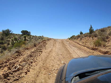 Cottonwood Valley Road