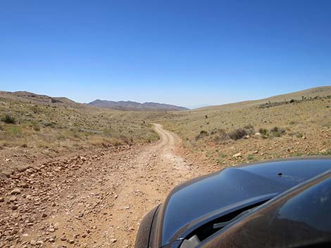 Cottonwood Valley Road