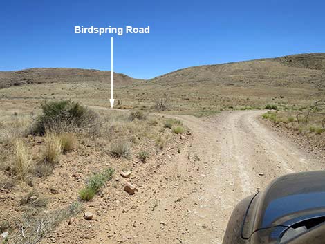 Cottonwood Valley Road