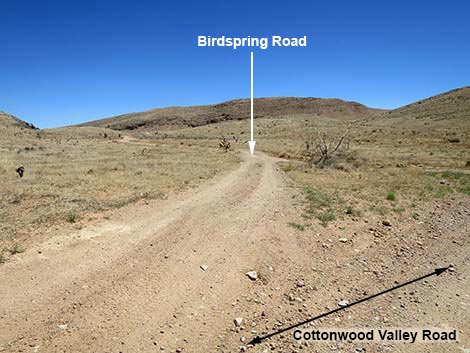 Cottonwood Valley Road