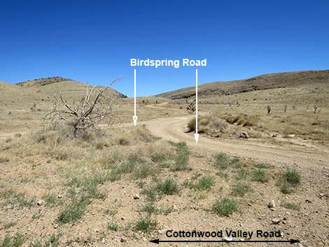 Cottonwood Valley Road