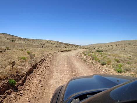 Cottonwood Valley Road