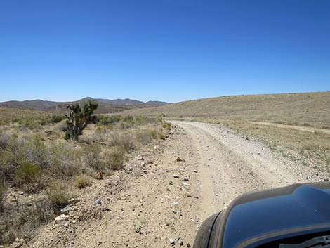 Cottonwood Valley Road