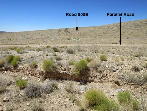 Cottonwood Valley Road