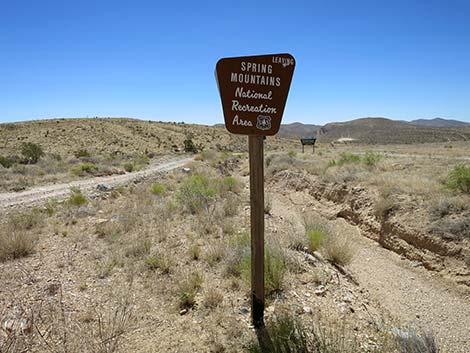Cottonwood Valley Road
