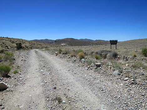 Cottonwood Valley Road