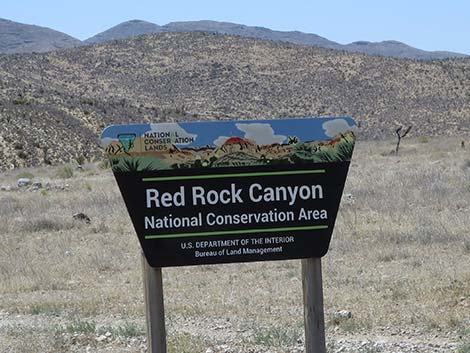 Cottonwood Valley Road