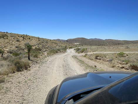 Cottonwood Valley Road