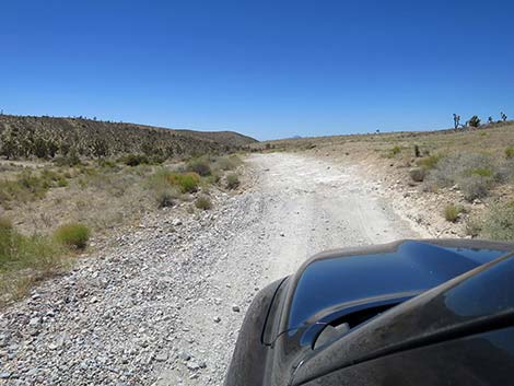 Cottonwood Valley Road