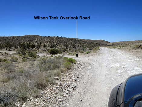 Cottonwood Valley Road