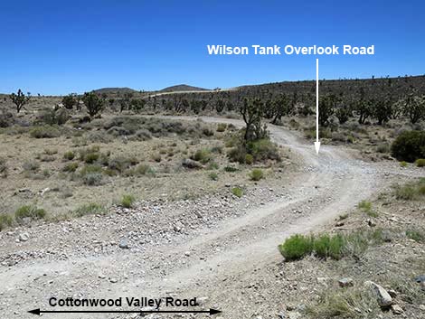Cottonwood Valley Road