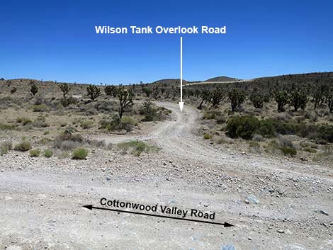 Cottonwood Valley Road