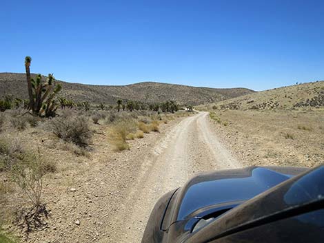 Cottonwood Valley Road