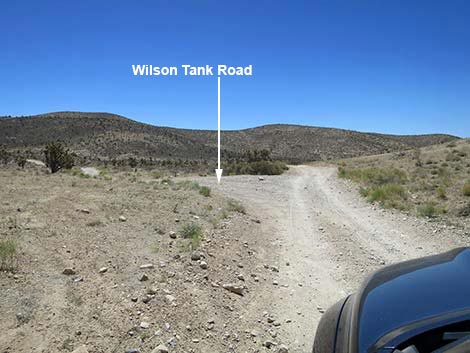 Cottonwood Valley Road
