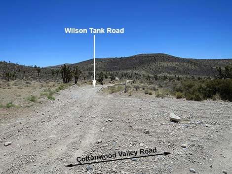 Cottonwood Valley Road