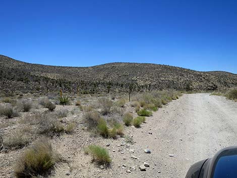 Cottonwood Valley Road