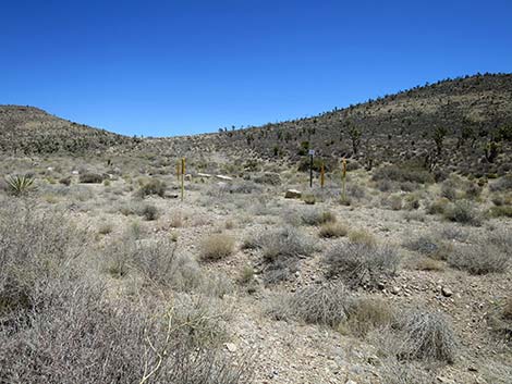 Cottonwood Valley Road