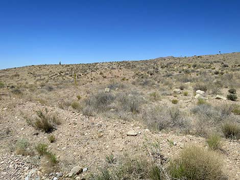 Cottonwood Valley Road