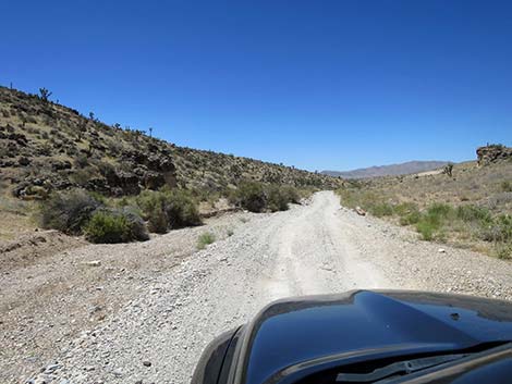 Cottonwood Valley Road