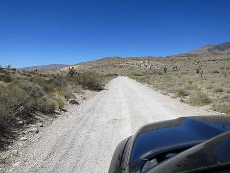 Cottonwood Valley Road