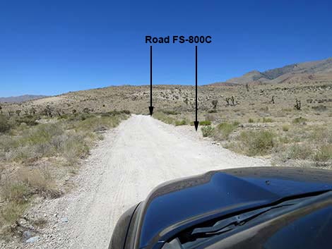 Cottonwood Valley Road