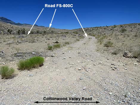 Cottonwood Valley Road