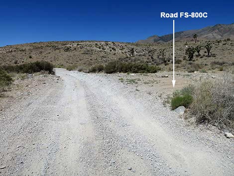 Cottonwood Valley Road