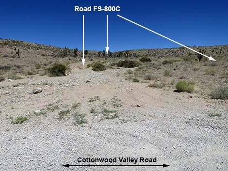 Cottonwood Valley Road