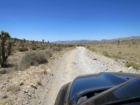 Cottonwood Valley Road