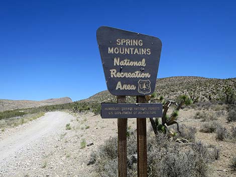 Cottonwood Valley Road