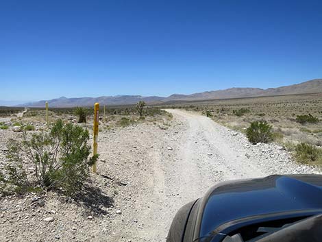 Cottonwood Valley Road