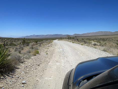 Cottonwood Valley Road