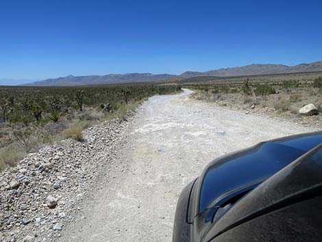 Cottonwood Valley Road