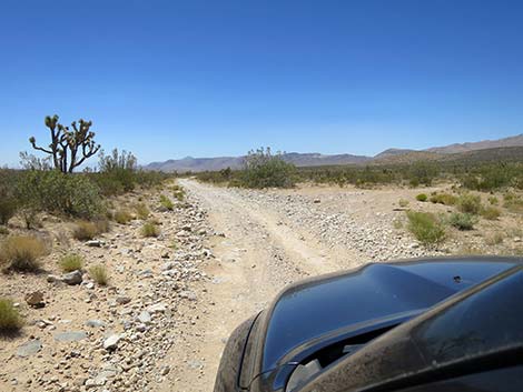 Cottonwood Valley Road