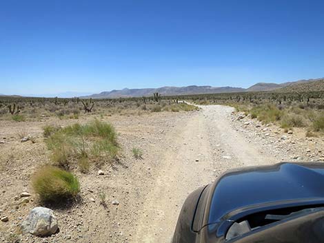 Cottonwood Valley Road