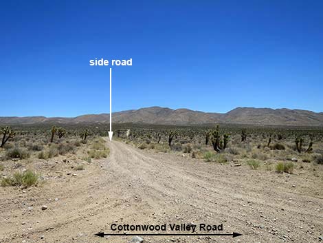 Cottonwood Valley Road