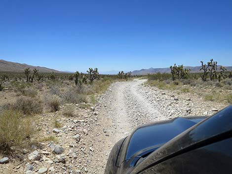 Cottonwood Valley Road