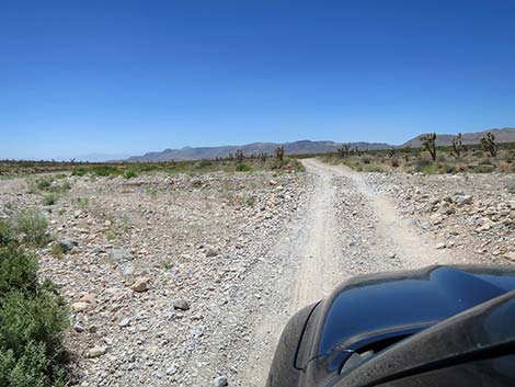 Cottonwood Valley Road